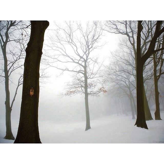 The Mists Of Avalon Photograph by Natasha Marco