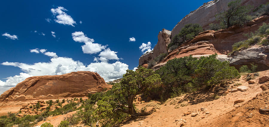 Sandstone Photograph - The Moab High Desert by Andreas Hohl