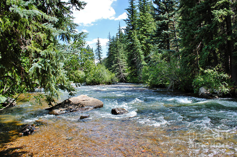 The Monarch River Photograph