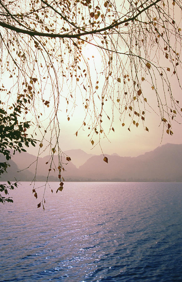 The Mondsee Lake Photograph by Thomas Winz