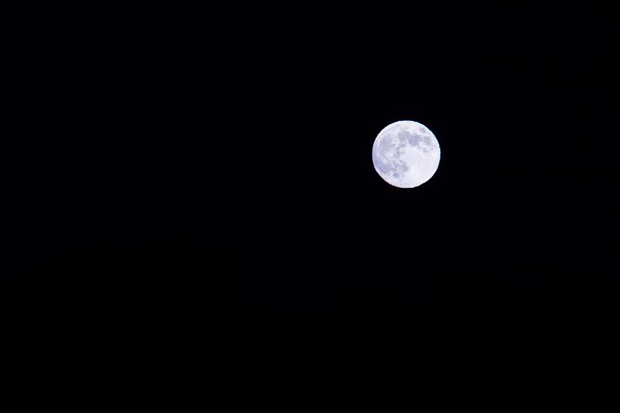 The Moon Photograph by Alexander Fedin