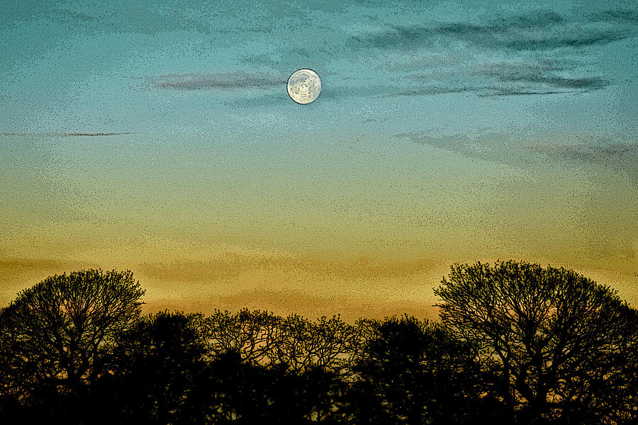 The Moon at Dawn Photograph by Mark Egerton