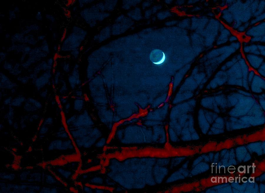 The Moon Followed Me 2 Photograph by Amalia Suruceanu