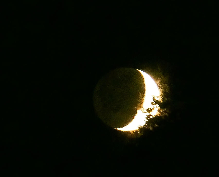 The Moon Last Night Photograph by Ronda Broatch