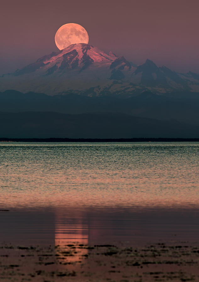 Sunset Photograph - The Moon over Mount Baker by Alexis Birkill