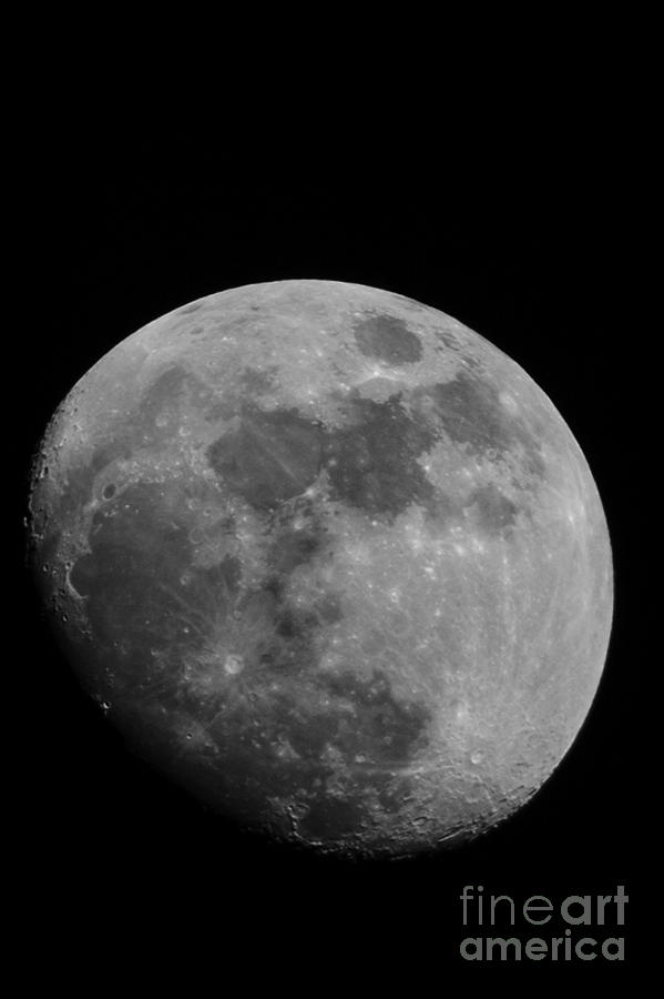The Moon Photograph by Steve Triplett