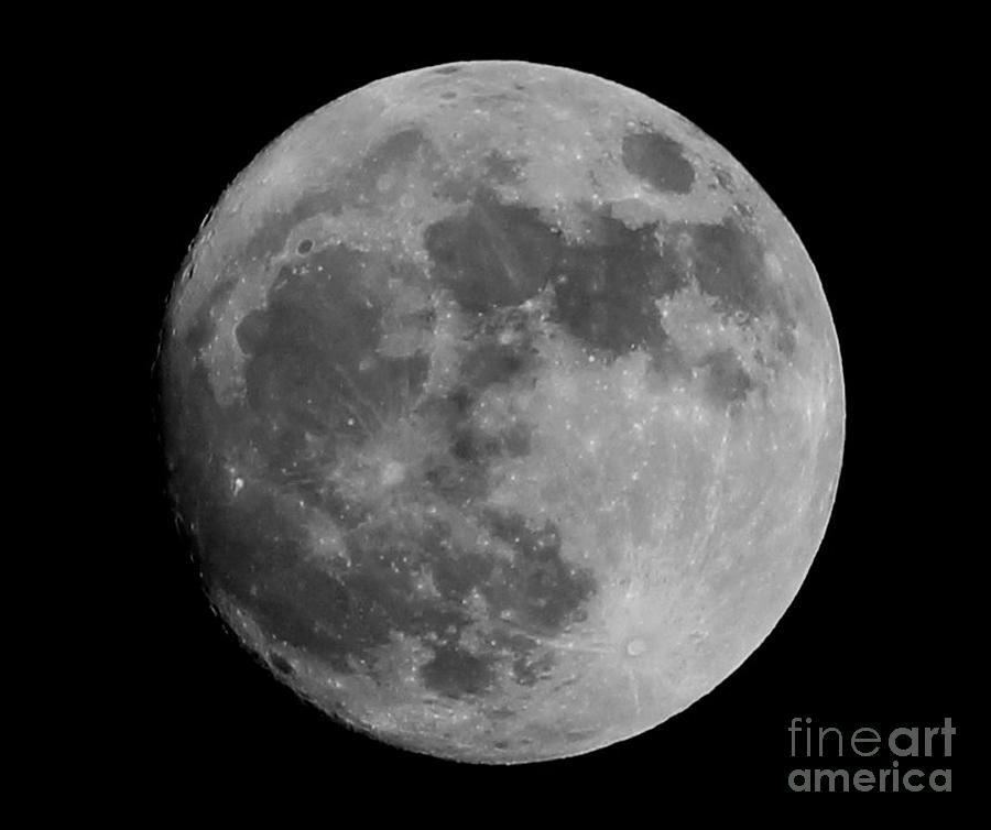 Pattern Photograph - The Moon by Vicki Spindler