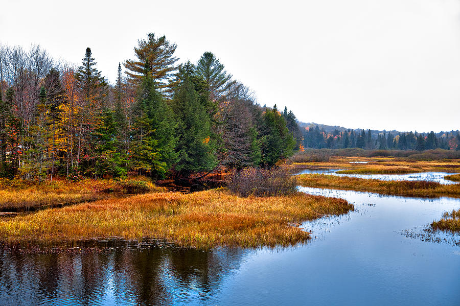 The Moose River in the Adirondacks Photograph by David Patterson