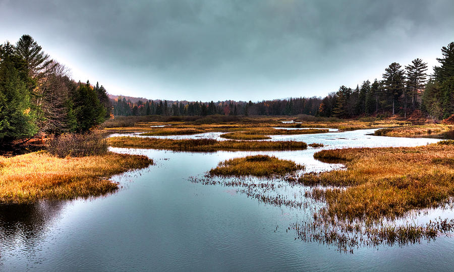 Fall Photograph - The Moose River - Old Forge New York by David Patterson