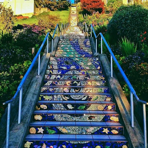 Landscape Photograph - The Moraga Stairs: 163 Mosaic Steps by Karen Winokan
