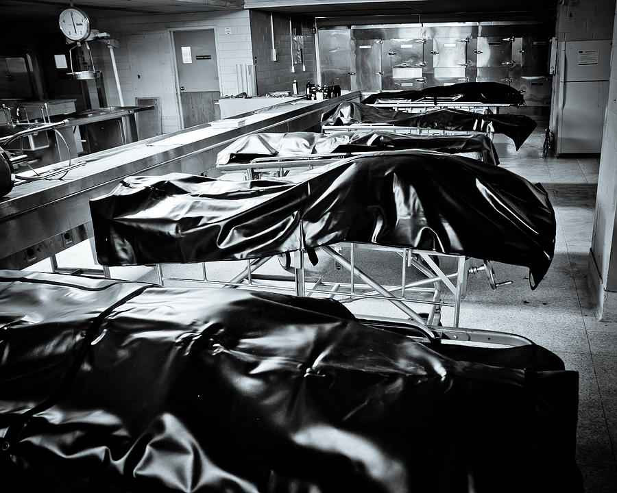 The Morgue Photograph by Insight Imaging