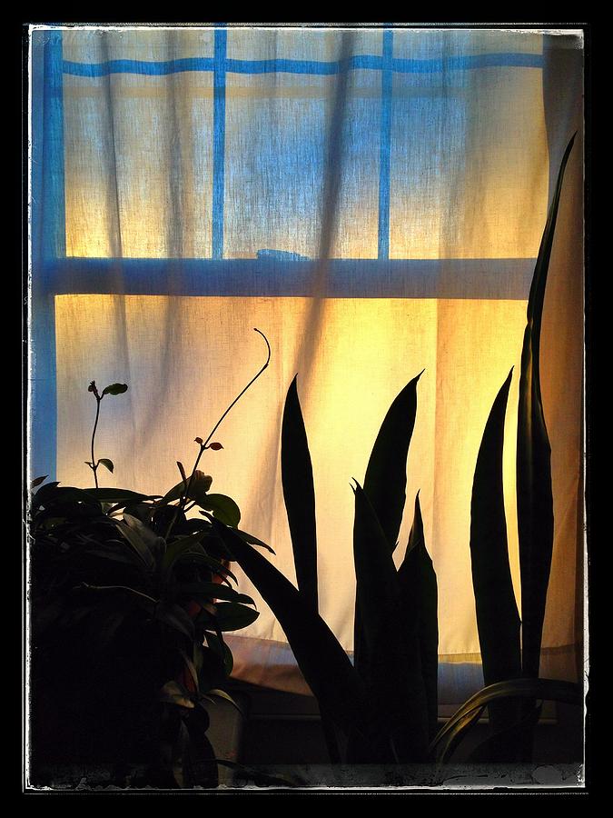 Curtain Photograph - The morning light that greets me by Stoney Stone