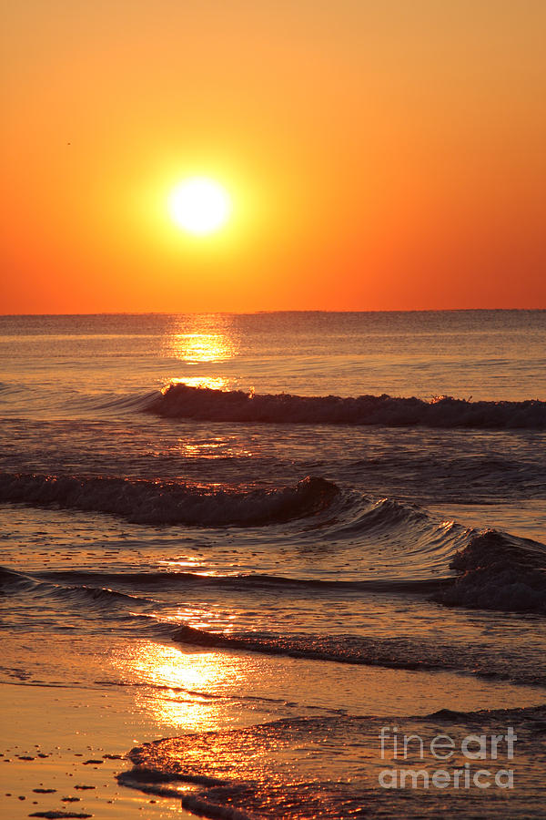The Morning Tide by Rusty Green The Morning Tide by Rusty Green