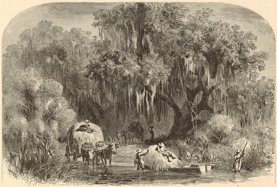 The Moss-Gatherers Painting by Antique Engravings - Fine Art America