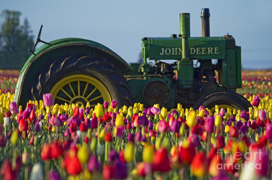 The Most Photographed Tractor In Oregon Photograph by Nick Boren