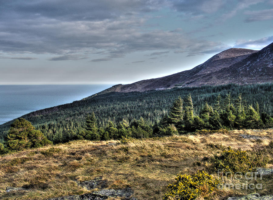 The Mournes Photograph by Nina Ficur Feenan