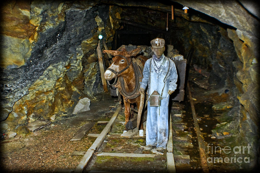 Coal Photograph - The Mule Boy by Gary Keesler