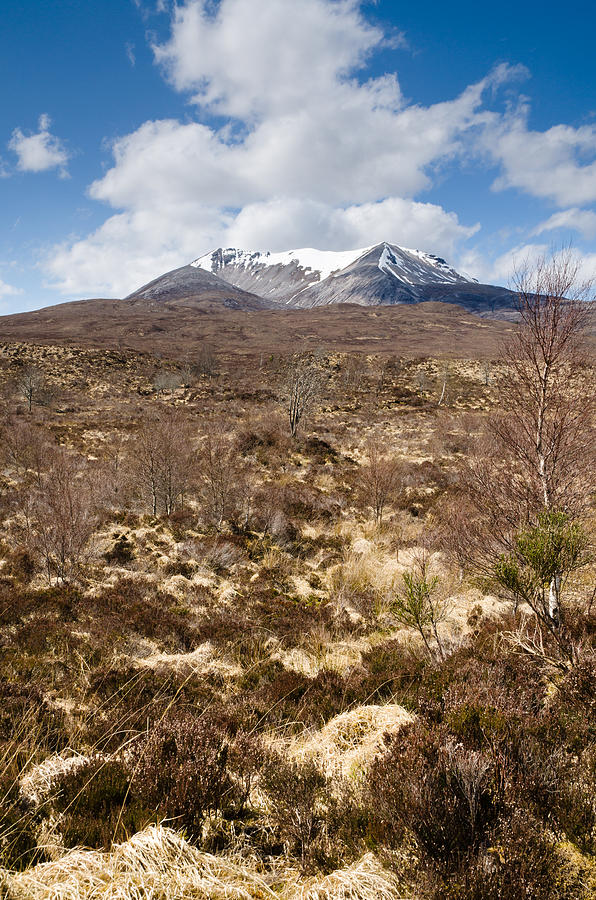 Nature Photograph - The Munro of Sgurr Nan Fhir Duibhe by David Head