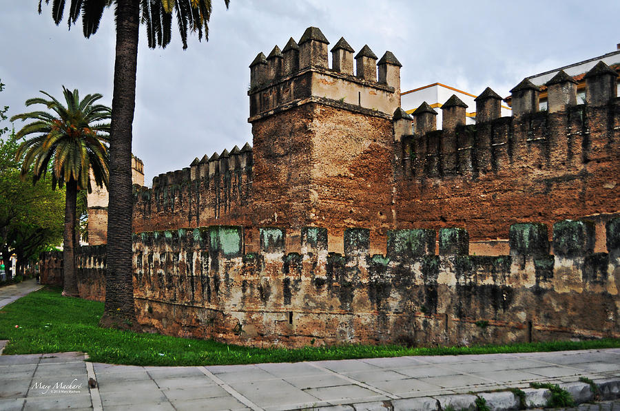 The Murallas - City Wall - Seville Spain Photograph by Mary Machare