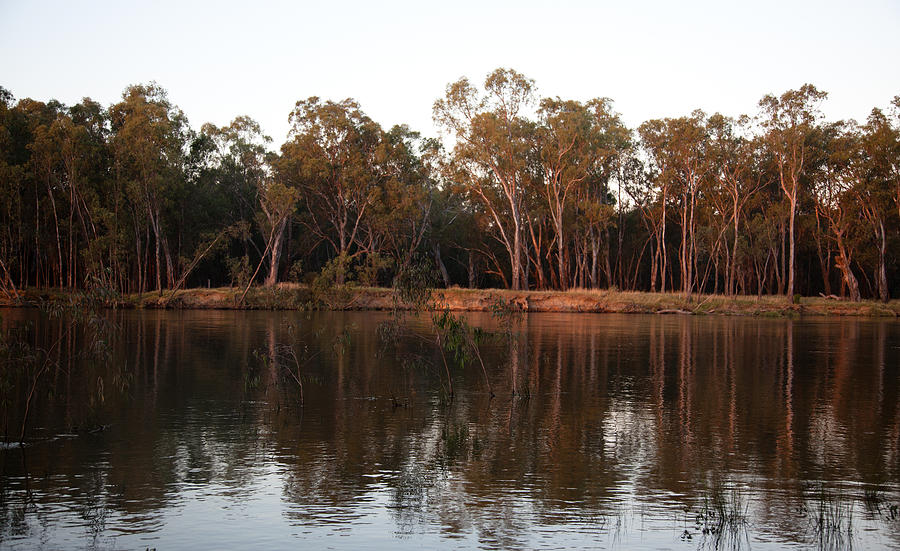 The Murray River Photograph by Carole Hinding