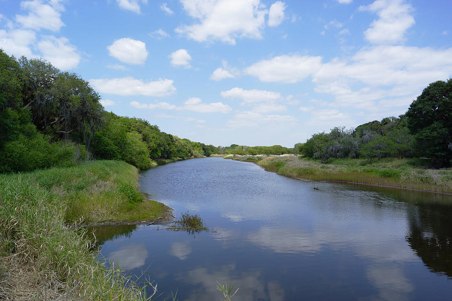 Escape to Serenity: Unwind in the Wild Beauty of Myakka River State Park