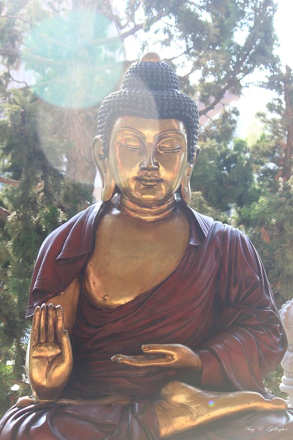 The Mystical Golden Buddha Photograph by Amy Gallagher