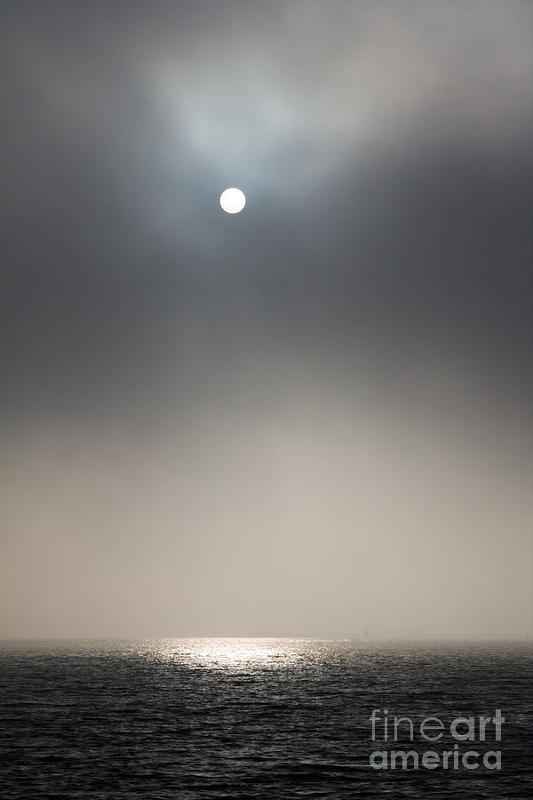Nature Photograph - The naked sun by Matteo Colombo
