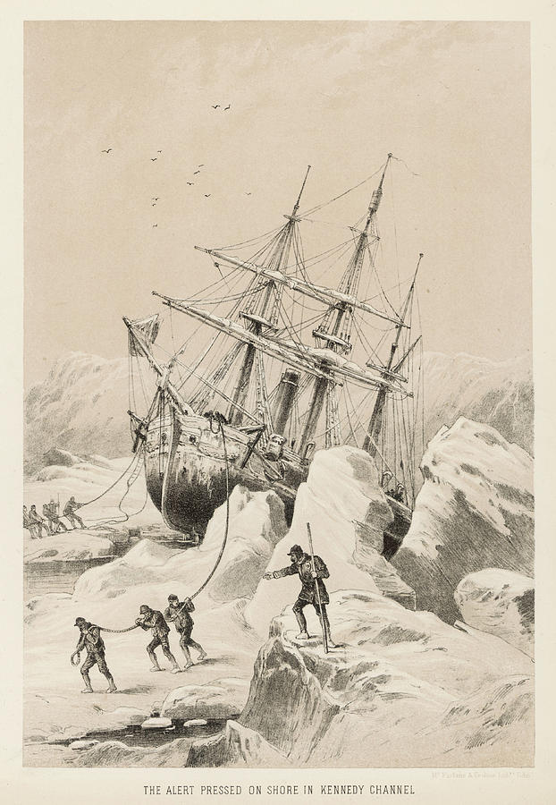 Nares Drawing - The Nares Expedition Aimed To  Restore by Mary Evans Picture Library