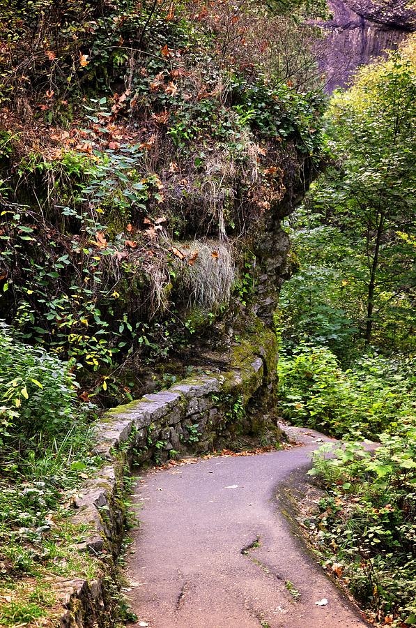 The Narrow Path Photograph by Image Takers Photography LLC - Laura Morgan