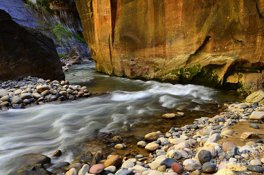 Zion National Park Photograph - The Narrows Virgin River Zion 1 by Bob Christopher