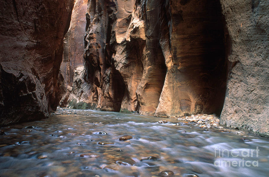The Narrows Of Zion Canyon Photograph by George Ranalli