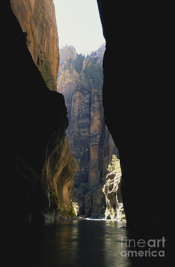The Narrows Of Zion Canyon Photograph by Gregory G. Dimijian, M.D.