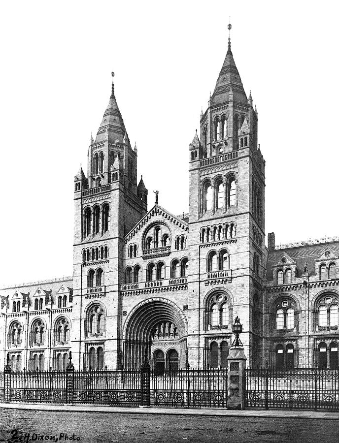 The Natural History Museum Photograph by Natural History Museum, London/science Photo Library