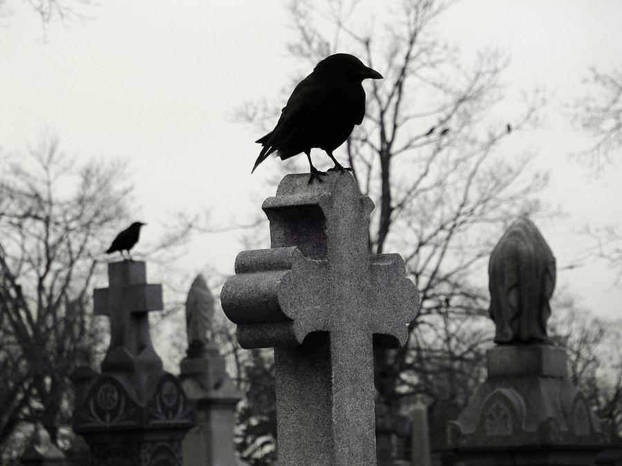 The Nature Of A Graveyard Photograph by Gothicrow Images - Pixels