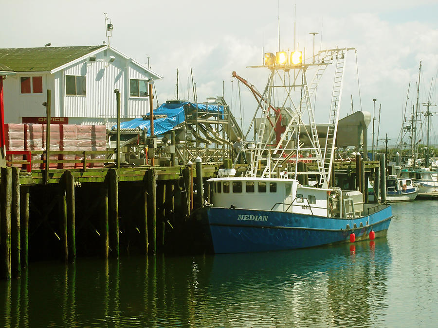 The Nedian in Ilwaco Harbor Photograph by Pamela Patch