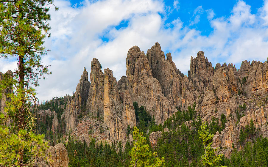 The Needles At Custer State Park Photograph