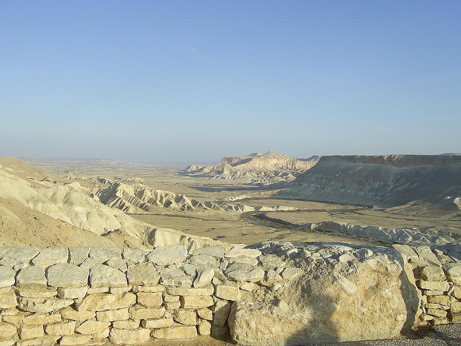 The Negev Desert Photograph by Esther Newman-Cohen