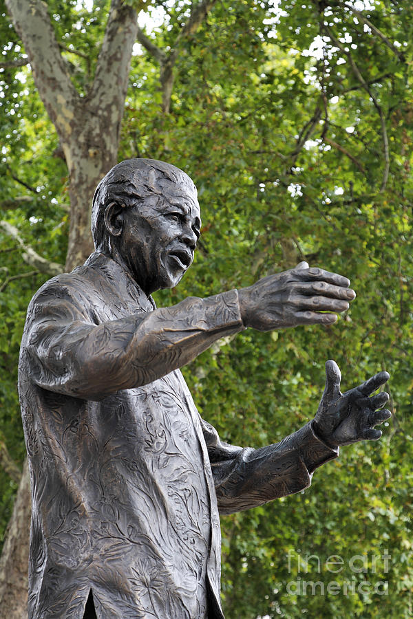 London Photograph - The Nelson Mandela statue in Parliament Square in London England by Robert Preston