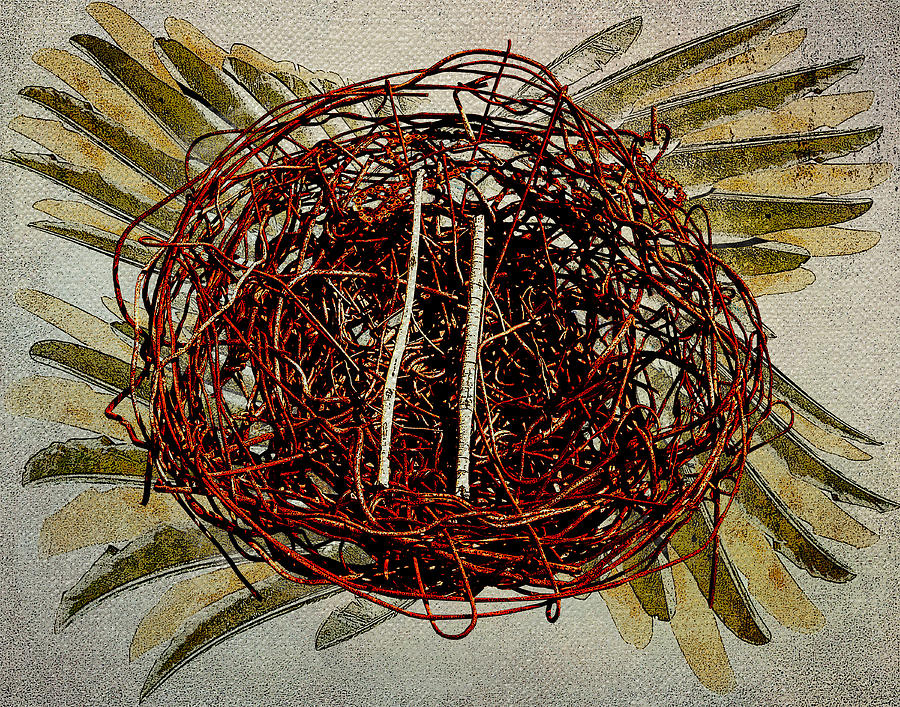 The Nest Digital Art by Sandra Selle Rodriguez