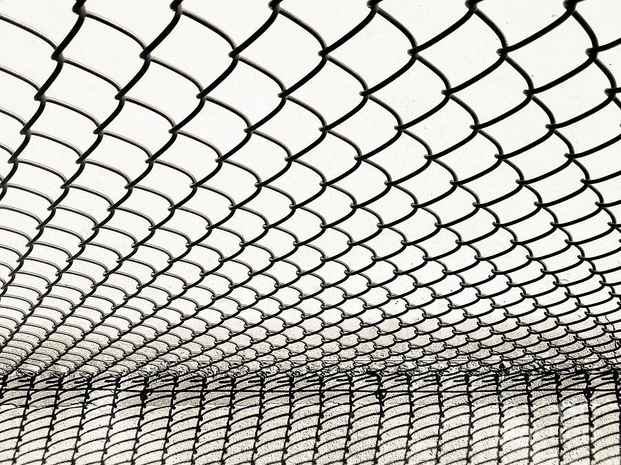 The Net No.8 Vertical Version Photograph by Fei A
