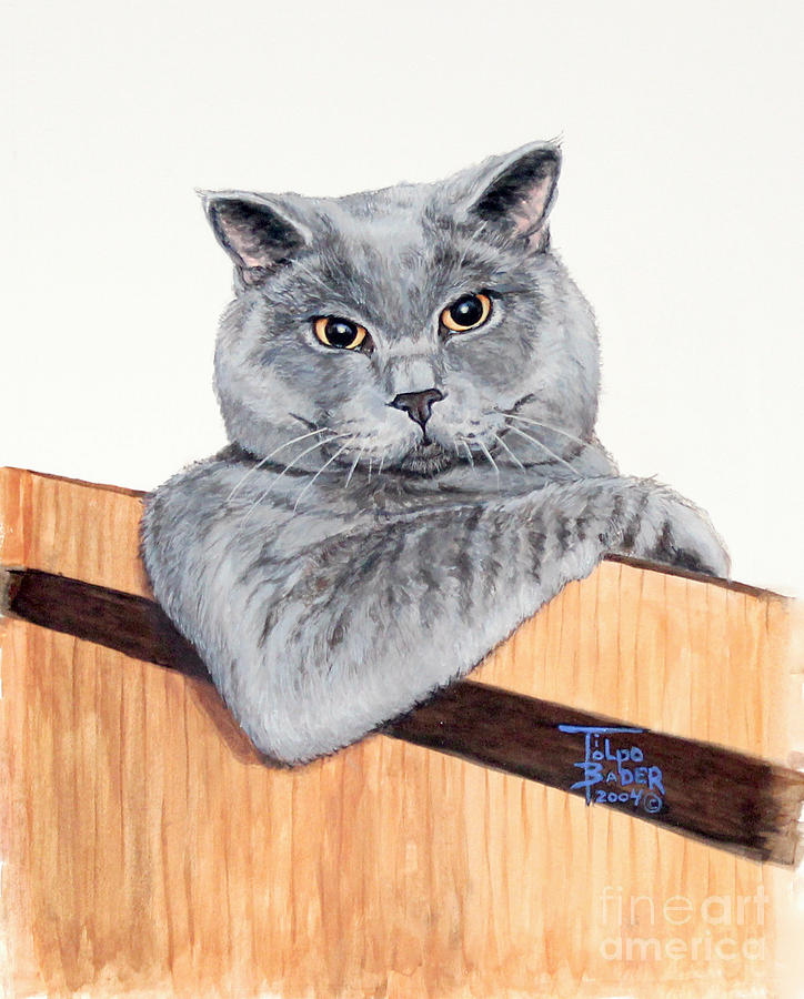 Cat Painting - The Next Door Neighbor by Art By - Ti   Tolpo Bader