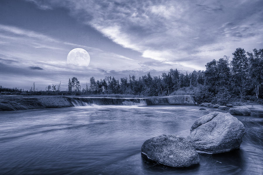 The Night Of The Full Moon Photograph by Nebojsa Novakovic