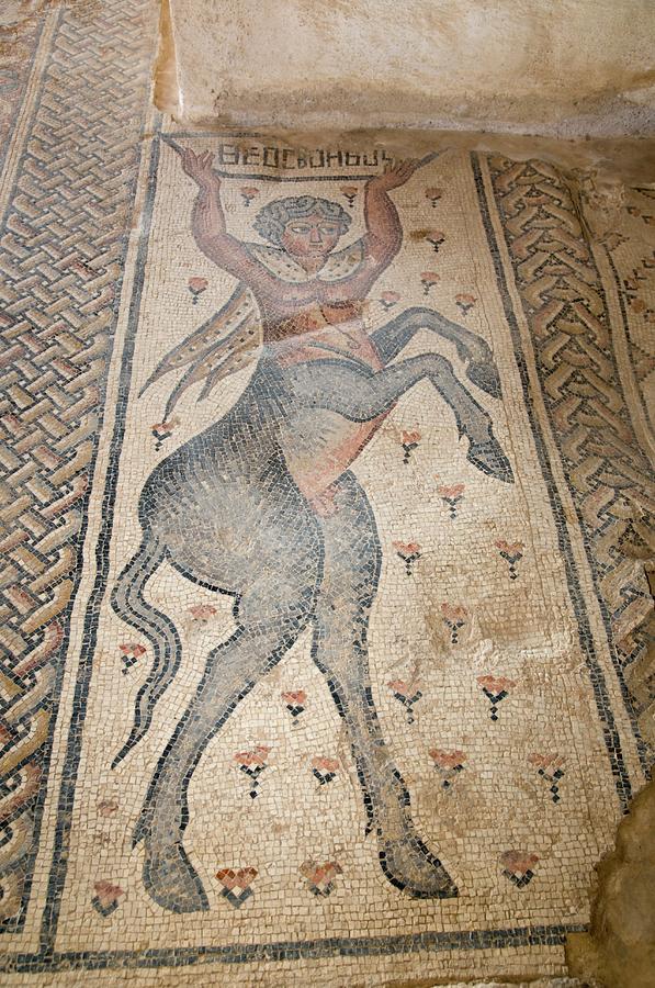 The Nile House The Centaur Mosaic Photograph by Photostock-israel/science Photo Library