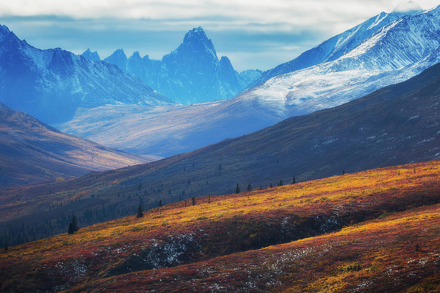 The North Klondike Valley Lights Photograph by Robert Postma - Pixels