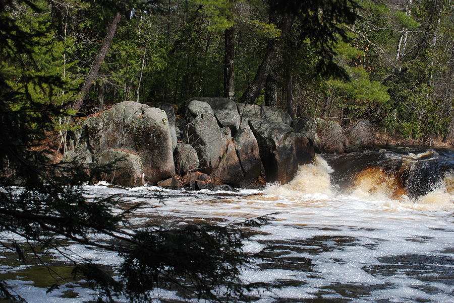 THE NORTHERN EXPERIENCE - ROCKS and PINES AND WATERFALLS Photograph by Janice Adomeit