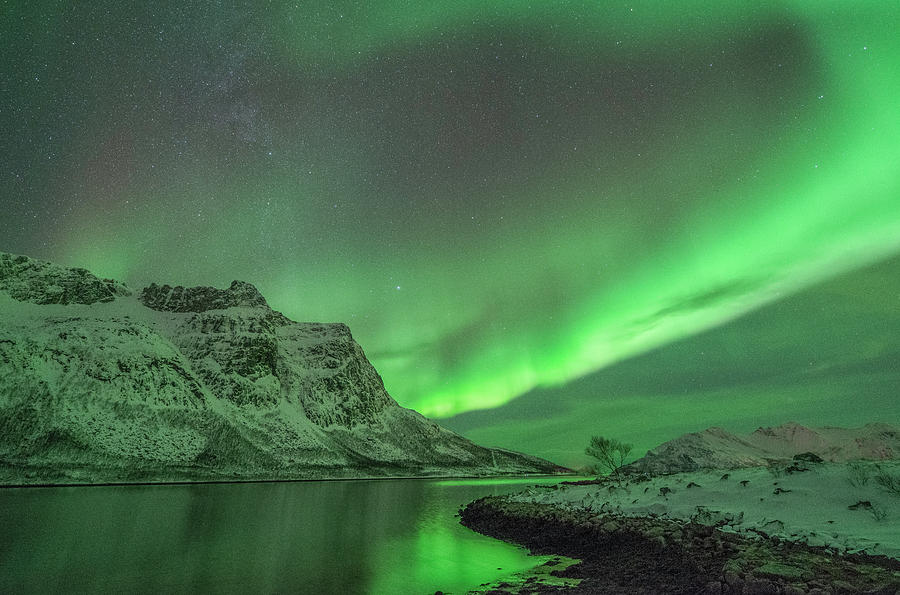 The Northern Lights At Grøtfjord Photograph by Bernt Olsen