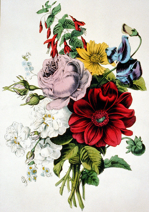 The Nosegay Digital Art by Currier and Ives