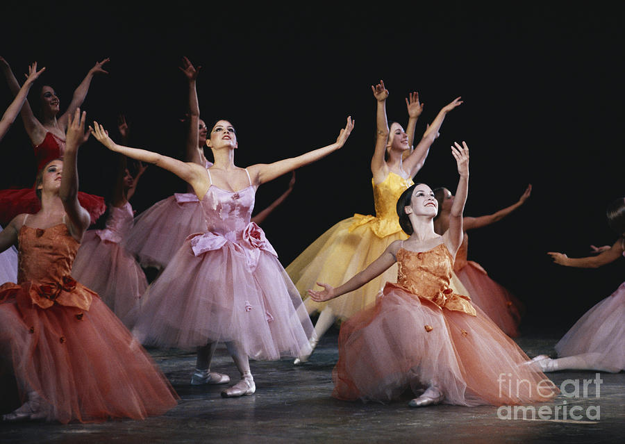 The Nutcracker Ballet Performance Photograph by James L. Amos