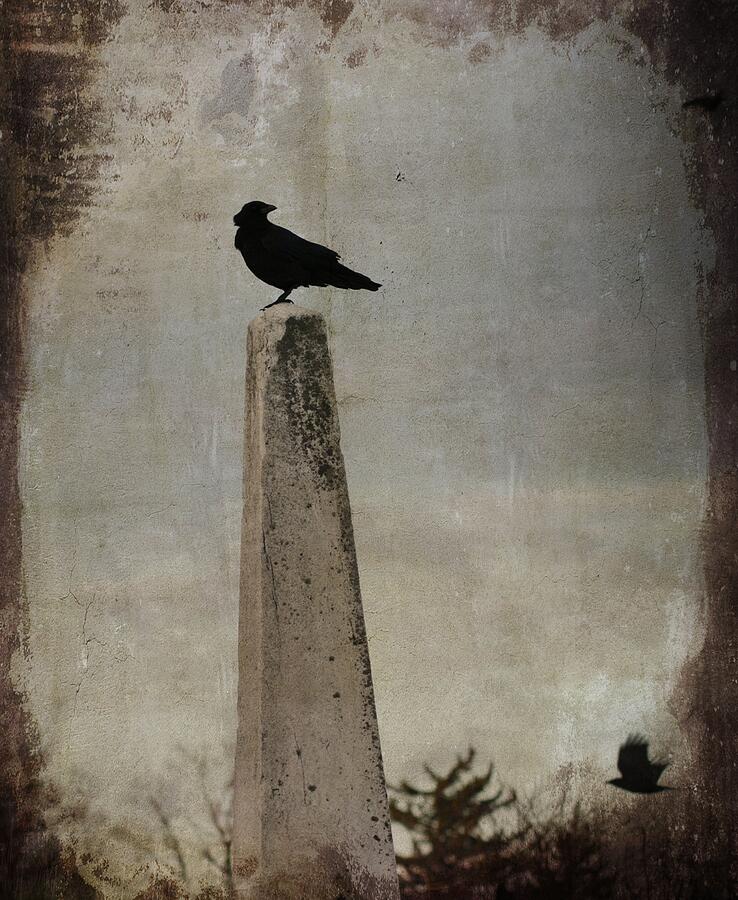 The Obelisk And The Windblown Blackbird Photograph by Gothicrow Images ...