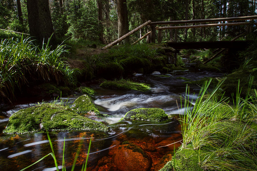 the Oder in the Harz area  Photograph by Andreas Levi